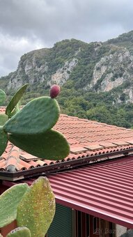 Sicílie, RD 3+1, 130 m2, poz. 3.000 m2, San Piero Patti - 4