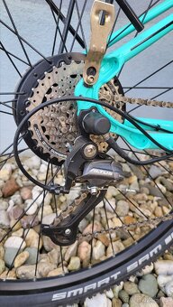 Leader Fox Venosa - 4