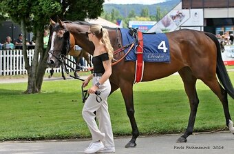 Klisna A1/1 - 4