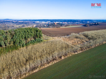 Prodej pole, 24512 m², Horšovský Týn - 4