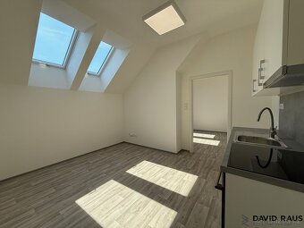 Pronájem ubytovací jednotky 35 m2 areál Stará Pošta, Rajhrad - 4