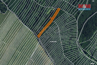 Prodej lesa, 3219 m², Horní Bojanovice - 4