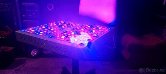 NOVÉ Mars Hydro Reflector (Real 374W) - 4