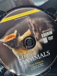 BBC přírodovědná sada CD. - 4