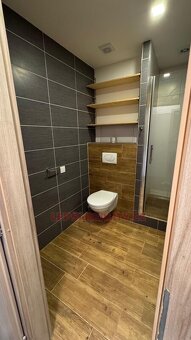 Pronájem zrekonstruovaného bytu 1+1, 47 m2, ul. Brněnská v - 4