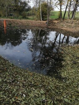 Prodej pozmků Přídolí-Lověšice - 4