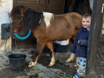 Mini hors - 4