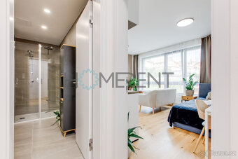 Pronájem bytu 1+kk (30.4 m²), Praha - ul. Závišova - 4