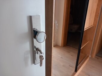 Pronájem bytu 1+kk 42,2m. - 4