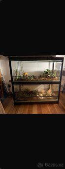 Krajta královská s teráriem - 4