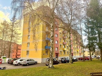 Pronájem bytu 1+1, 30 m2, Polička - 4