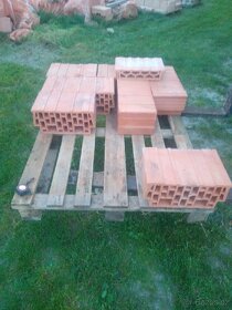 Cihly Heluz, Heluz family - 4