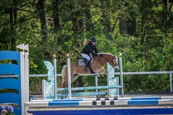 Na prodej klisna 141 cm, Pony B - 4