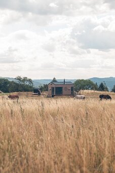 Pastevní ustájení na Masečíně - 4