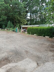 Pronájem nebytového prostoru v Boršově - 4