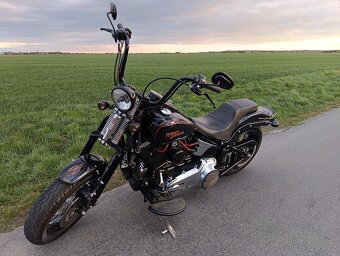 HARLEY DAVIDSON FLSTSB Cross Bones - 4