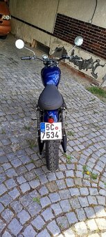 Jawa 250 café racer - 4
