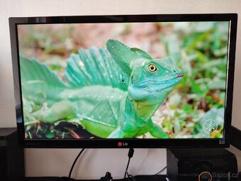 P: IPS LCD monitor LG 24MP55 - 4