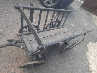 Starý řebřinak malý - 4