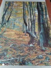 Orig. nást. plakáty z 80. let 20. století - Příroda, krajiny - 4