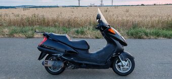 Honda FES 250 - 4