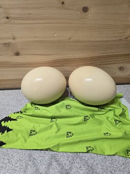 Pštrosí vajíčko - vyfouknuté - 4