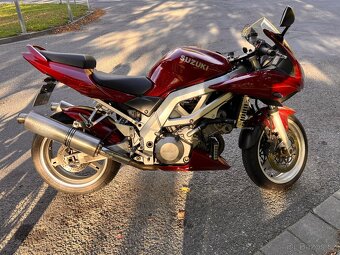 Suzuki SV1000s - 4