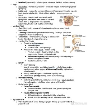 Maturitní otázky z biologie - kompletní přehled(PDF) - 4