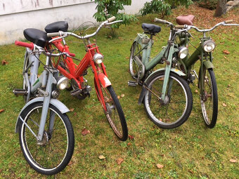 Motokola Mosquito - 4