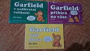 CREW - Komiksy - Garfield, Y Poslední muž, Ekho, Liberty Mea - 4