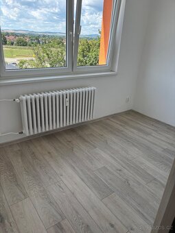 Pronájem bytu Veselí nad Moravou - 4