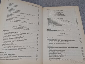 Tao a leciva energie - 4