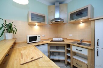 Zařízený 1+kk 27m2 v Nuslích, ev.č. N08766 - 4