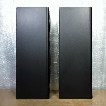 Reprobedny Pioneer. - 4