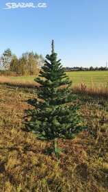 Vánoční stromeček, výška 180 cm - 4