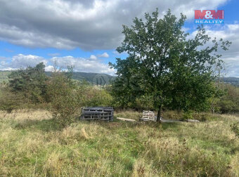 Prodej zahrady, 5897 m², Lešany - 4