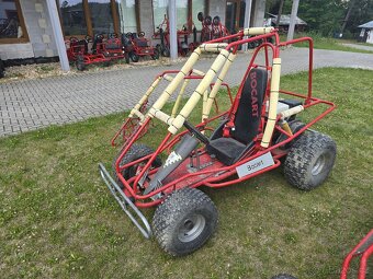 Terénní buggy BOCART 7 ks - 4