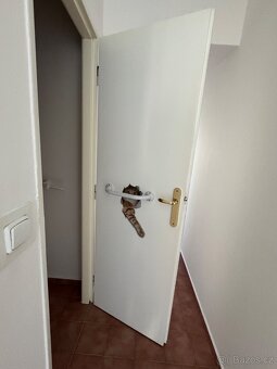 Daruji dveře za odvoz Praha 8 - 4