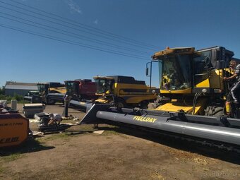 LIŠTA NA SLUNEČNICI - 4