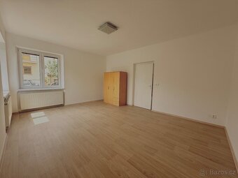 Dlouhodobý pronájem prostorného 1+1, 65 m2, zahrádka, cihla - 4
