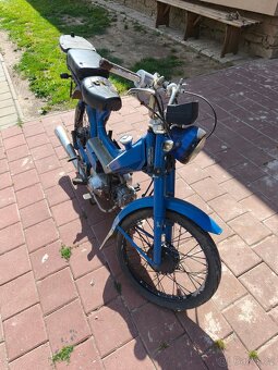 Betka tmec - 4