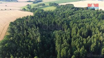 Prodej lesa, 5139 m², Tábor - 4