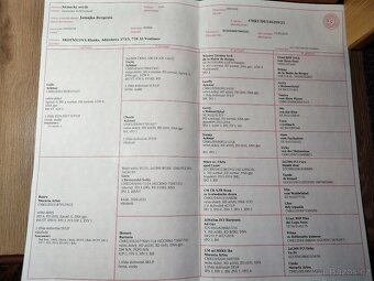 Německý ovčák štěně s PP - 4