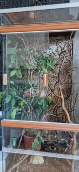 Terarium pro chov chameleona - 4