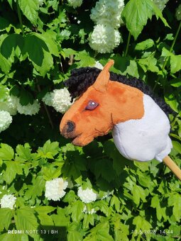 Hobby horse - 4