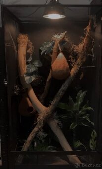 flexarium s vybavením - 4