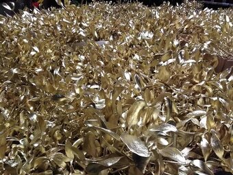 Prodej jmelí 2025🌿 - 4