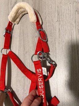 Ohlávka + Vodítko - 4