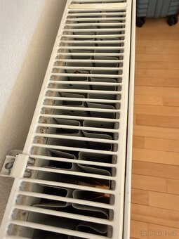 Radiatory Korado Radik Line - 4