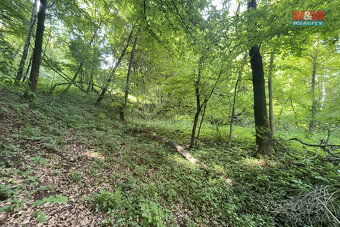 Prodej zahrady, 2923 m², Šarovy - 4